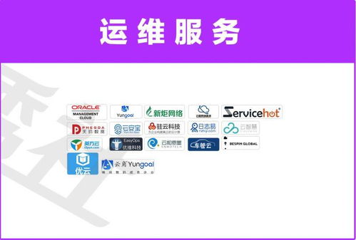日志易再度登榜中國企業(yè)服務(wù)云圖，以文化經(jīng)紀人服務(wù)引領(lǐng)行業(yè)數(shù)字化新篇章