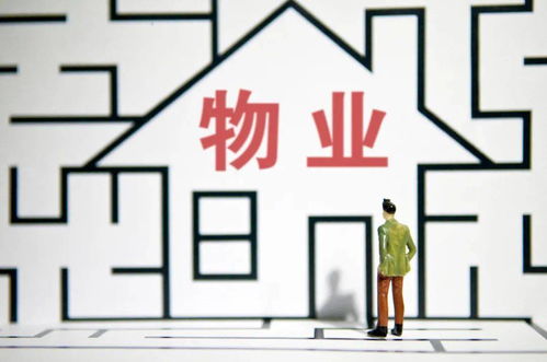 裝修垃圾清運費捆綁交房引爭議，煙臺物業(yè)違規(guī)操作遭整改